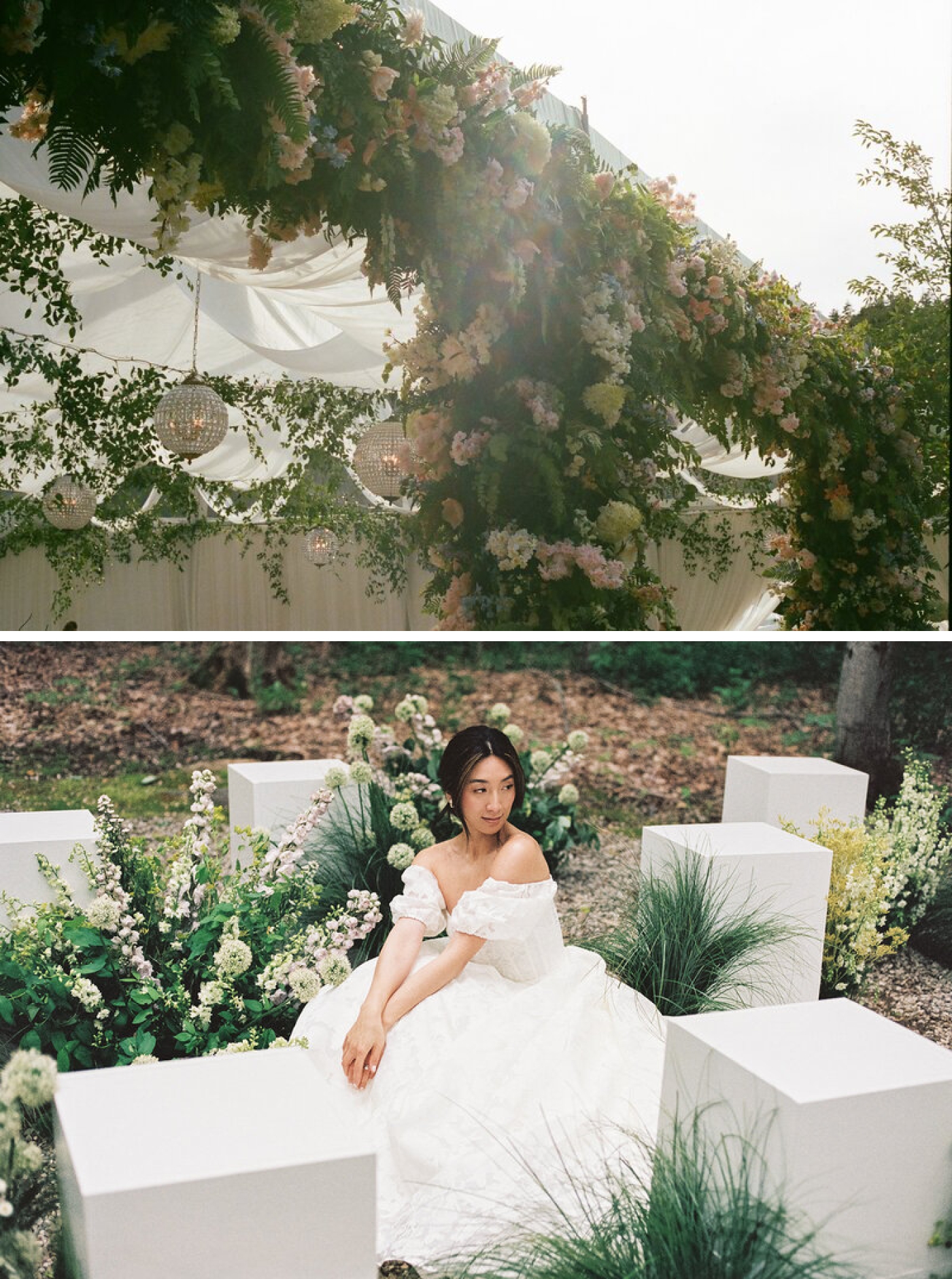 Film photos of a lush floral installation framing the opening of a tent with colorful flowers, ferns, and greenery