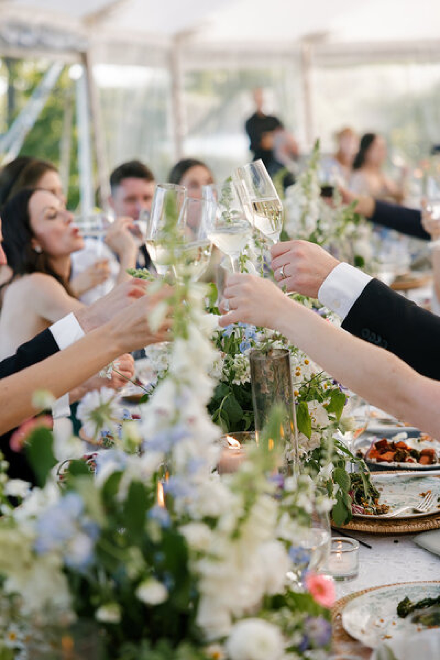 Wedding guests raise their glasses to toast to a happy marriage