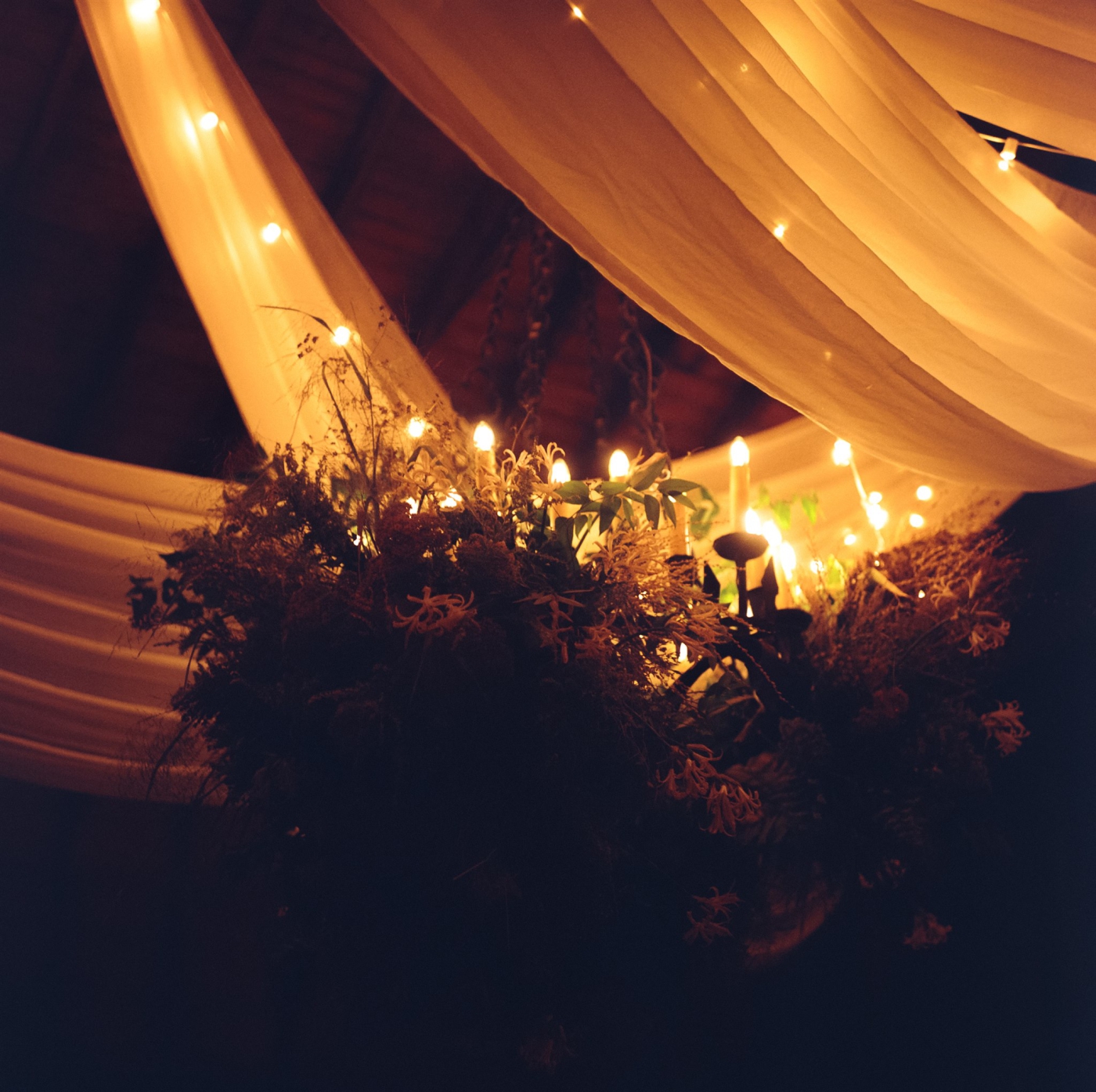 An electric chandelier covered in greenery and local blooms