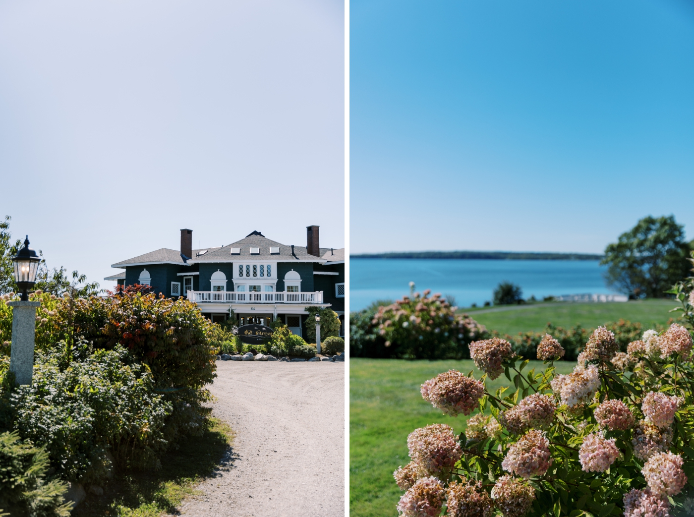 Rust colored hydrangeas lining the path to French's Point